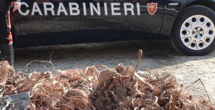 Sorpresi a bruciare rame, i Carabinieri ne scoprono altri 80 chili nel furgone