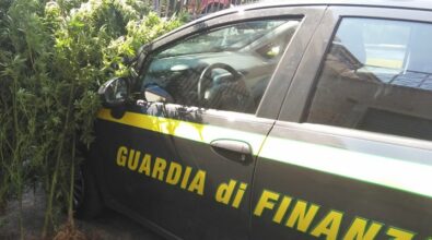 “CINQUE LUSTRI” | Il gip di Roma conferma il carcere per Giorgio Barbieri