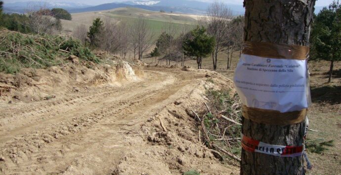 Celico, i carabinieri forestale sequestrano area in trasformazione del suolo