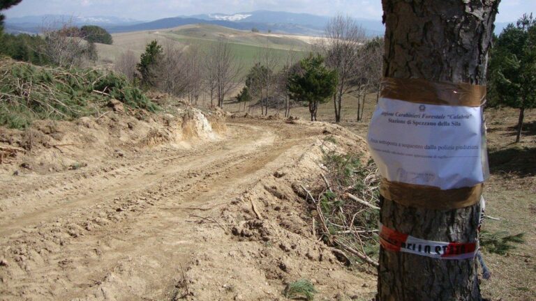 Celico, i carabinieri forestale sequestrano area in trasformazione del suolo