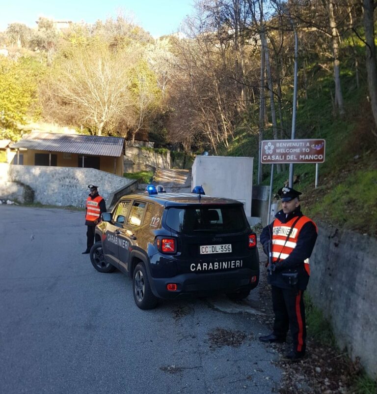 Risse, evasione e uomo scomparso: ecco l’attività dei carabinieri in Presila