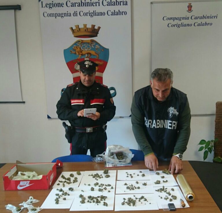 Droga nel garage celata in sacchetti da sottovuoto: i carabinieri arrestano due fratelli