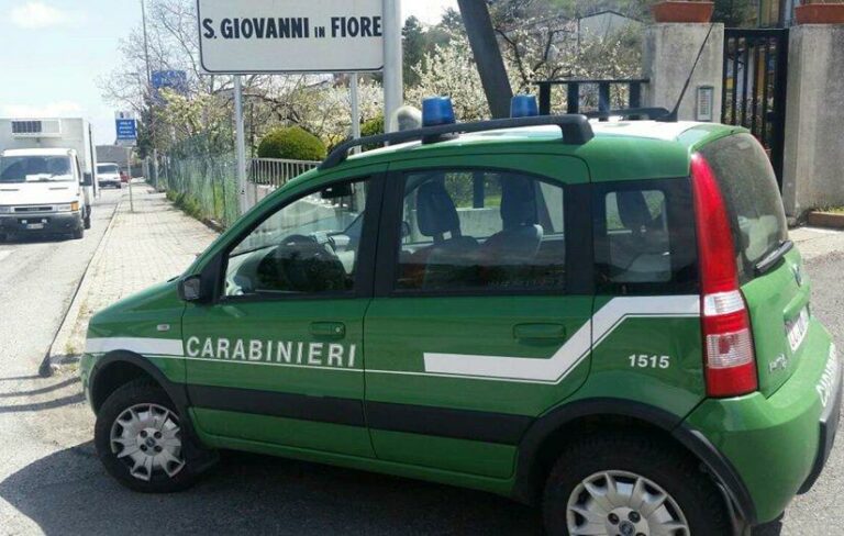 Controlli agroalimentari dei carabinieri Forestali. Sanzioni per 7500 euro
