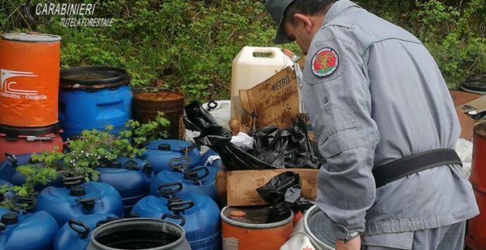 Abbandono di rifiuti, denunciato l’amministratore della “Rende servizi”
