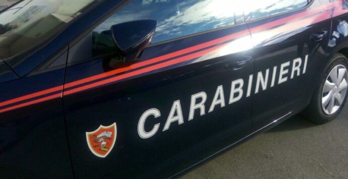 Rapine e furti a Cosenza, i carabinieri arrestano 19 persone