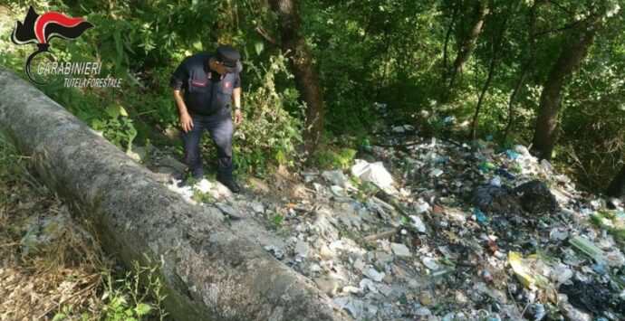Abbandono di rifiuti, denunce e sanzioni a Casali del Manco: l'attività dei carabinieri forestale