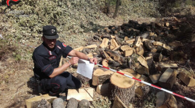 San Sosti, tagliavano legna senza autorizzazione: due denunce