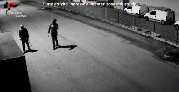 Da Napoli a Lattarico per una rapina e un furto: ecco le indagini di “Vulture”