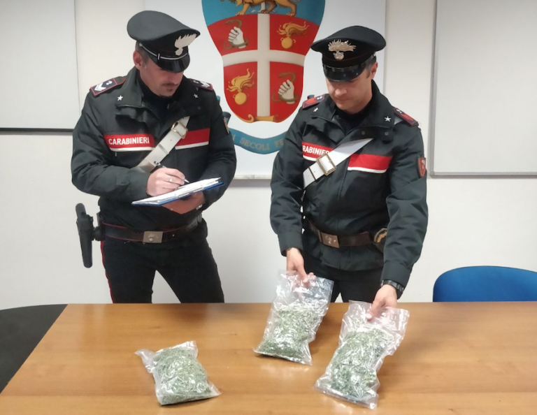 In trasferta da Locri con quasi 300 grammi di marijuana: arresti e denunce