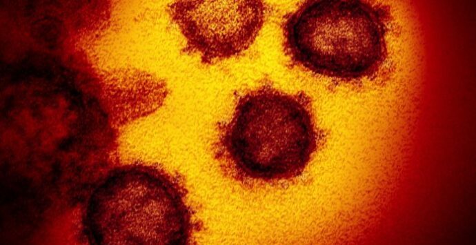 Aumento dei contagi da coronavirus in Calabria: +233 casi rispetto a ieri
