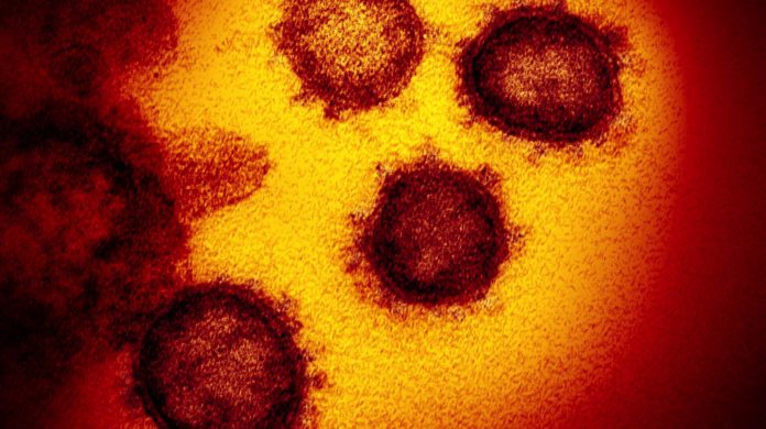 Coronavirus, stabili i pazienti in Terapia Intensiva: 3 contagi a Castrovillari