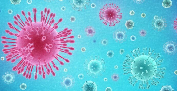 Record di contagi da coronavirus in Calabria: +245 nelle ultime 24 ore