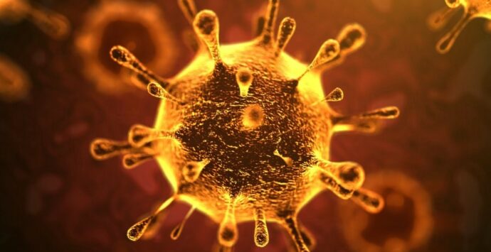 Coronavirus, in Calabria si registrano 321 nuovi contagi