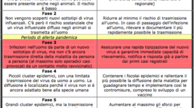 Se il coronavirus diventa Pandemia: cosa vuol dire e cosa cambia