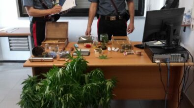 San Demetrio Corone, avevano il monopolio sulla marijuana: 4 arresti