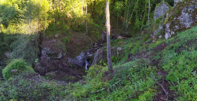 Taglio di alberi selvaggio: danneggiato l’ingresso della Grotta del Brigante