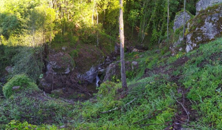 Taglio di alberi selvaggio: danneggiato l’ingresso della Grotta del Brigante