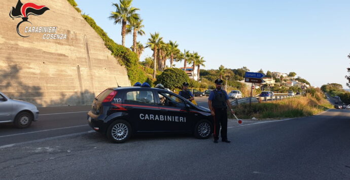 Diamante, marijuana in casa: arrestato dai carabinieri