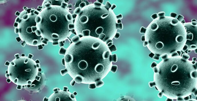 Coronavirus, 10 nuovi casi a Cosenza e 4 a Spezzano Sila TABELLA