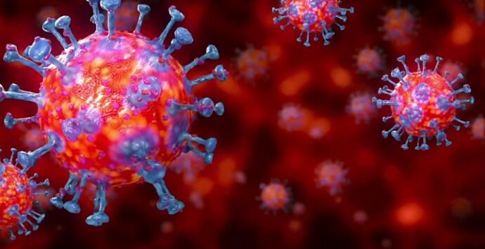 Sono 358 i nuovi casi di Coronavirus in Calabria: ecco la mappa