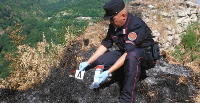 Incendi boschivi: un arresto per i roghi di Albidona