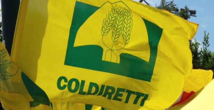 Covid: Coldiretti, con Calabria gialla riaprono 15 mila ristoranti e agriturismi