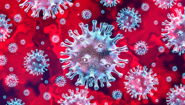 Il bollettino del 20 gennaio: in Calabria 313 nuovi casi di Coronavirus