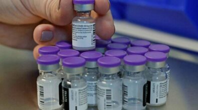 Vaccino Covid, Pfizer: «Forniture a regime da settimana prossima»