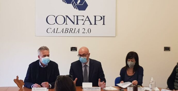 Le proposte di Confapi all’assessore regionale Gianluca Gallo