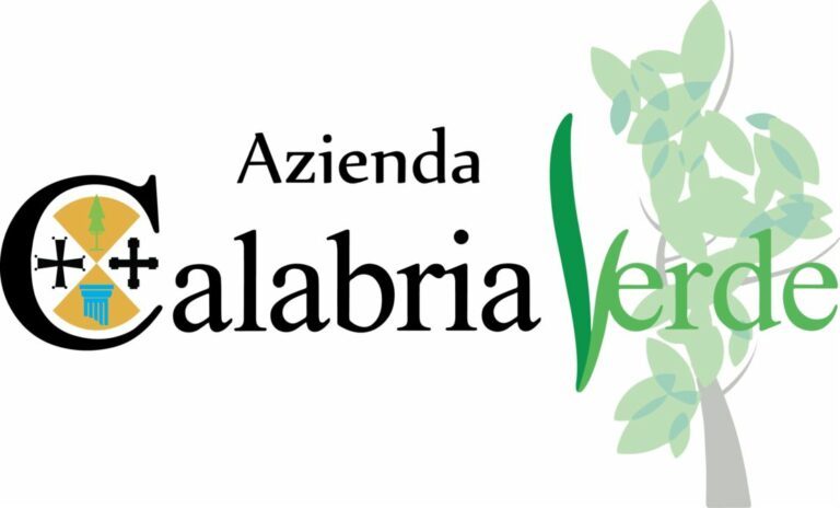 Calabria Verde, il commissario Oliva replica a Guccione
