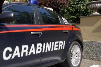 Spezzano Albanese, i Carabinieri sequestrano droga e munizioni