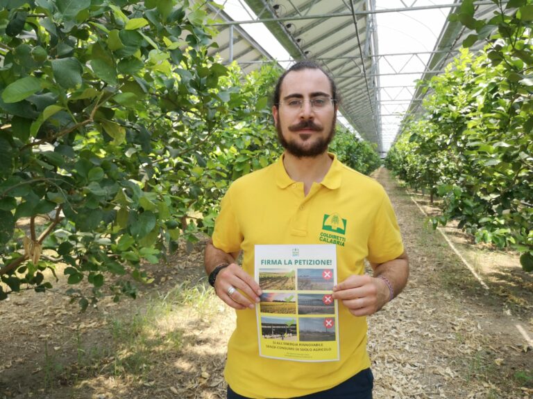 Coldiretti Calabria, i giovani agricoltori lanciano una petizione
