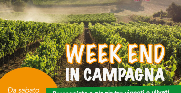 Weekend in campagna, la Calabria dell’olio e del vino riparte dal territorio