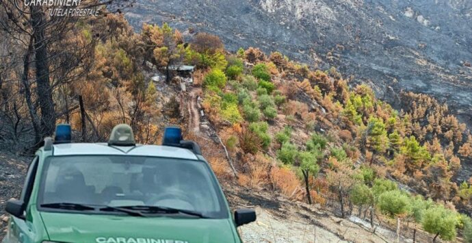 Incendio di Albidona, denunciato il responsabile dai Carabinieri Forestali
