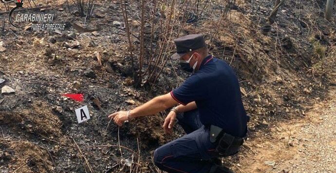 Castrovillari, 17enne dà fuoco alla vegetazione: denunciato