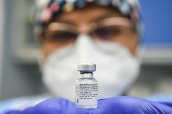 Vaccino Pfizer, risposta immunitaria persiste dopo 6 mesi: studio a Siena