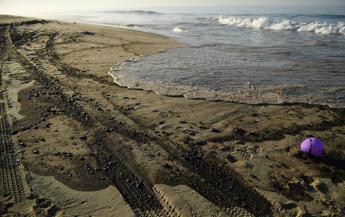 Marea nera in California, rischio disastro ecologico
