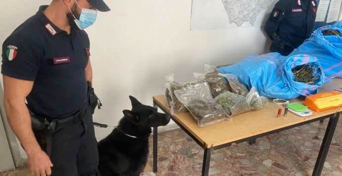 Cetraro, i carabinieri trovano 11 chili di droga: arrestate due persone