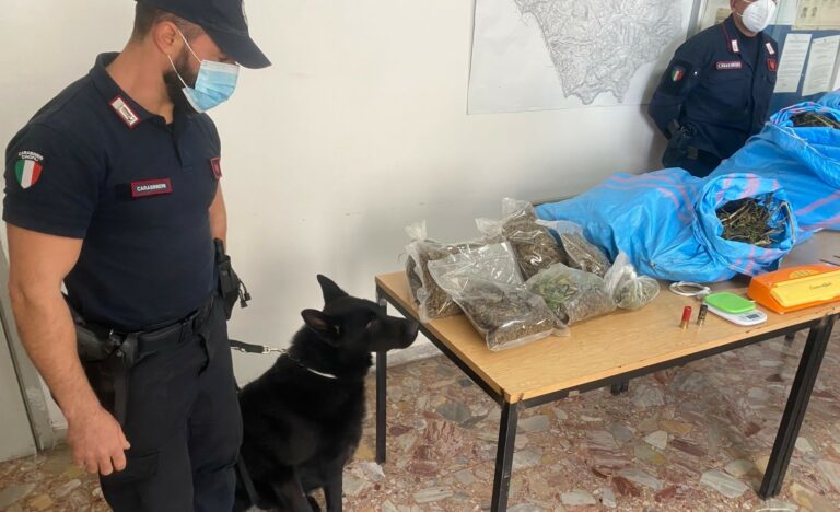 Cetraro, i carabinieri trovano 11 chili di droga: arrestate due persone
