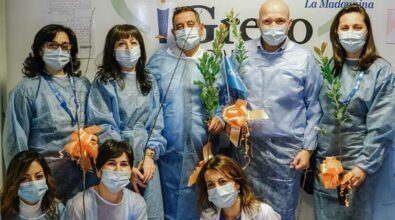 Ambiente e diritti dei bambini, iGreco Ospedali Riuniti e Arcalabria lanciano “Un albero per ogni neonato”