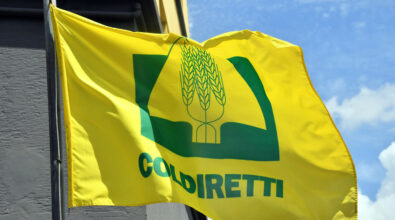 Coldiretti Calabria: “Non si specula sul cibo”