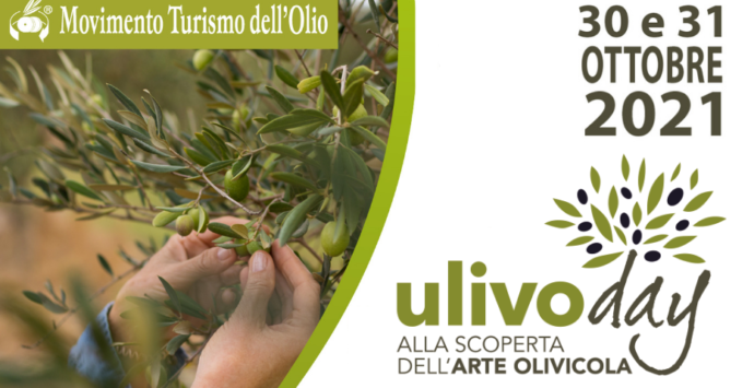 Ulivo day: in Calabria turismo esperienziale e valorizzazione del territorio