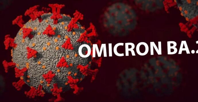 Covid, sottovariante Omicron: gli esperti invitano ad avere fiducia nei vaccini