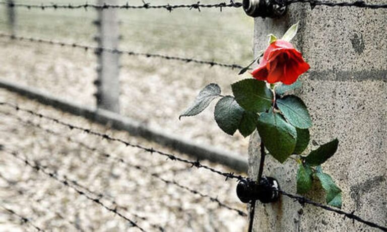 Giornata della Memoria, Diamante ricorda le vittime dell’Olocausto con un dibattito sull’antisemitismo di ieri e di oggi