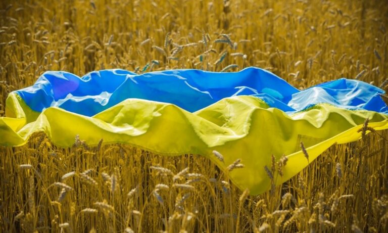 Russia: «Pronti ad esportazione del grano con revoca delle sanzioni»