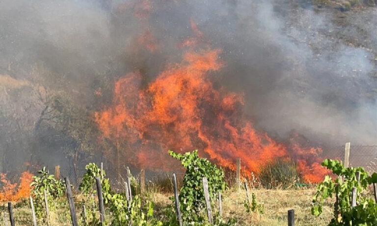 Soltanto ieri 110 incendi in Calabria. L’ultimo a Mendicino