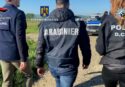 Estorsioni ad anziani, colpita banda internazionale con base in Calabria: 16 misure cautelari e 59 indagati – VIDEO