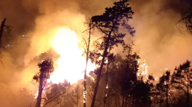 Bisignano, due incendi nella notte. Il sindaco: «Sono dolosi, il colpevole pagherà!» – FOTO E VIDEO