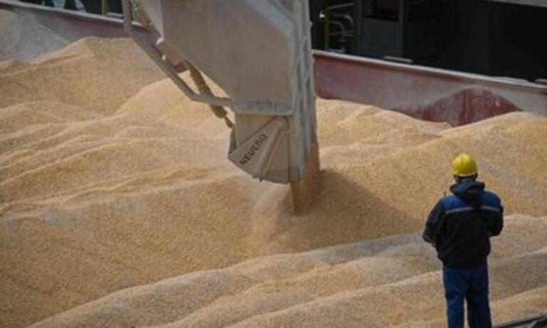 Crisi del grano, firmato accordo Ucraina-Russia su export