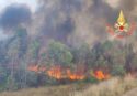 Incendi, in corso 27 interventi dei vigili del fuoco. Le situazioni più critiche ad Acri e Saracena
